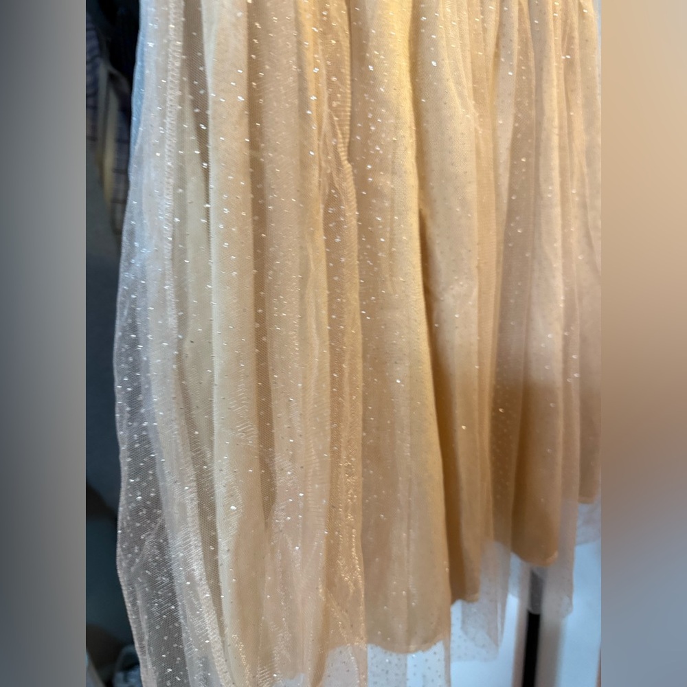 Elegant Cream Sheer Sleeve Dress with Sparkles, Open Back! New!! - Picture 9 of 14